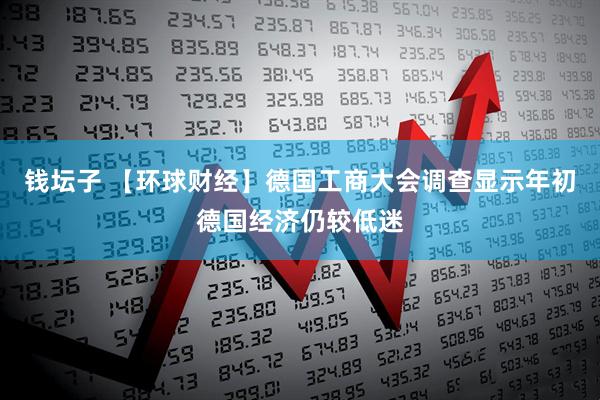钱坛子 【环球财经】德国工商大会调查显示年初德国经济仍较低迷